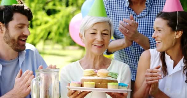 Aile doğum günü partisi kutluyor — Stok video