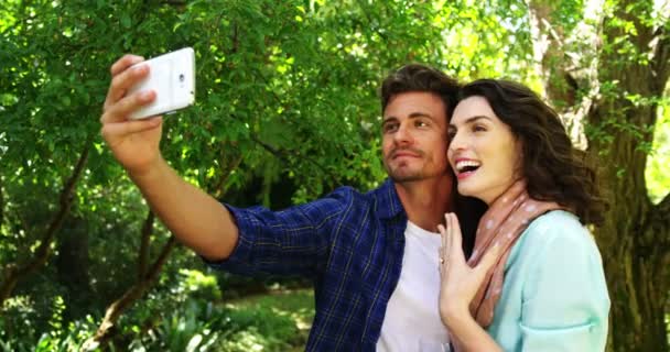 Romantic couple taking selfie from phone — Stock Video