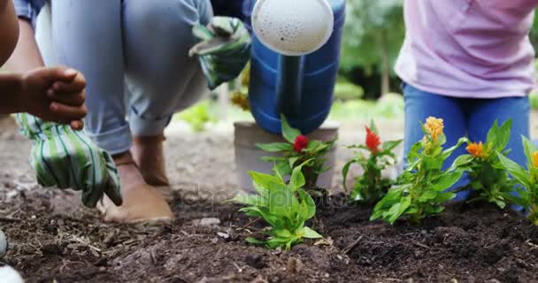 Middensectie ervan een familie samen tuinieren — Stockvideo
