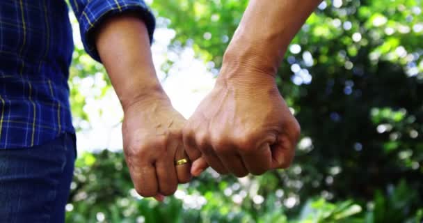 Senior couple holding hands — Stock Video