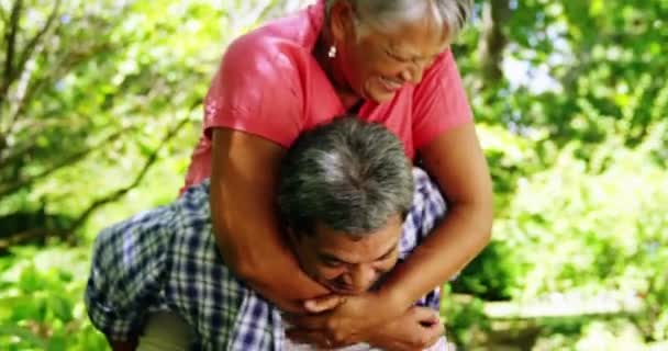 Ανώτερος άνθρωπος δίνοντας piggyback ανώτερων γυναίκα — Αρχείο Βίντεο