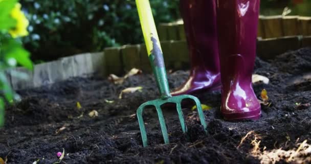 Senior vrouw graven met tuin vork — Stockvideo
