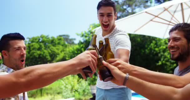 Amigos brindar garrafas de cerveja — Vídeo de Stock