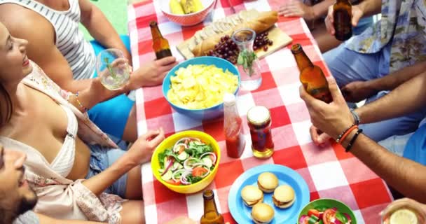 Friends toasting beer bottles and glasses — Stock Video