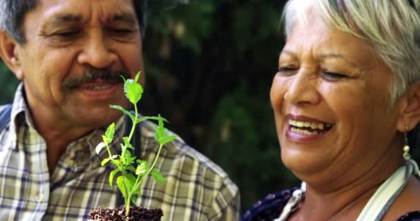 Planta de retención de pareja mayor — Vídeo de stock