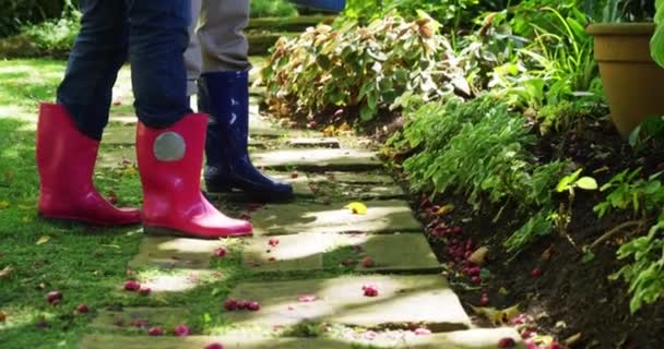 Senior couple watering plants with watering can — Stock Video