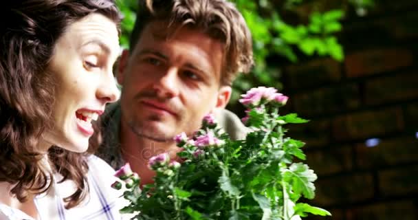 Couple holding plant while interacting in garden — Stock Video