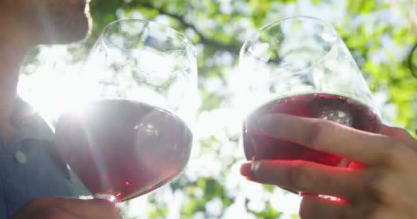 Para opiekania szklanki czerwonego wina w parku — Wideo stockowe