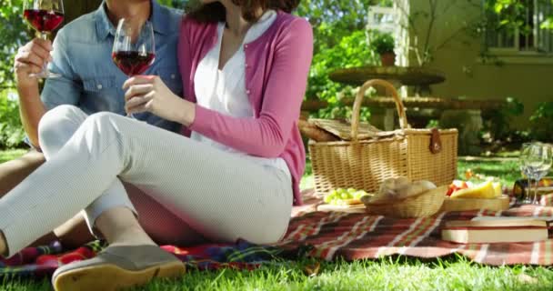 Пара взаимодействует во время употребления красного вина — стоковое видео