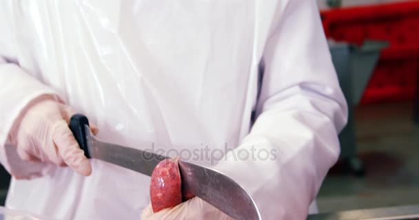 Mujer carnicera cortando salchichas — Vídeos de Stock
