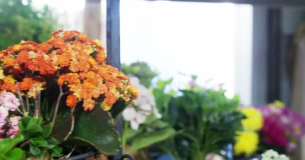 Женщина выбирает букет цветов — стоковое видео