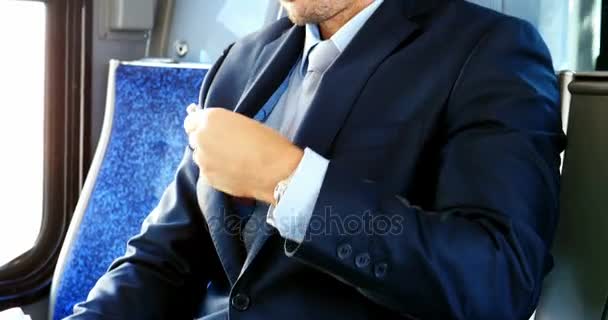 Uomo d'affari che utilizza il telefono cellulare durante il viaggio — Video Stock