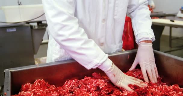 Мясник готовит мясо — стоковое видео