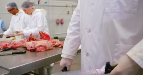 Verscherping slagersmes — Stockvideo