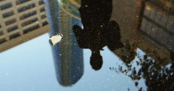 Reflection of a businessman in the puddle using digital tablet — Stock Video