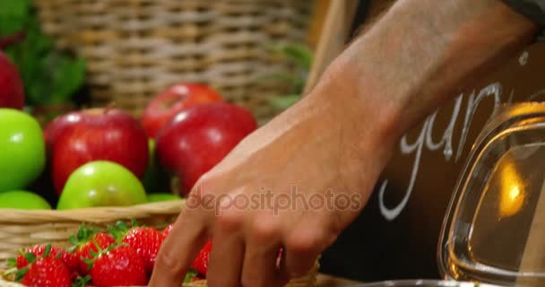 Personnel masculin organisant des fraises en section biologique — Video