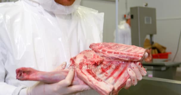 Retrato del carnicero sosteniendo carne roja — Vídeos de Stock