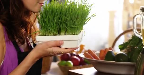 신선한 녹색 잔디 냄새 여성 직원 — 비디오