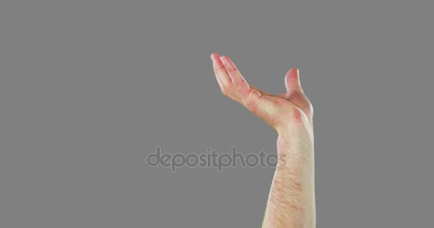 Närbild av händer gester — Stockvideo