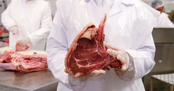Retrato de una carnicera sosteniendo carne cruda — Vídeo de stock