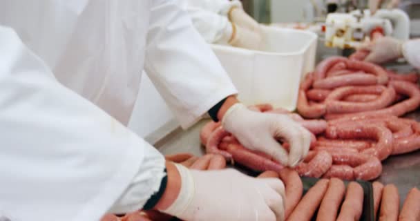 Butchers preparing sausage — Stock Video