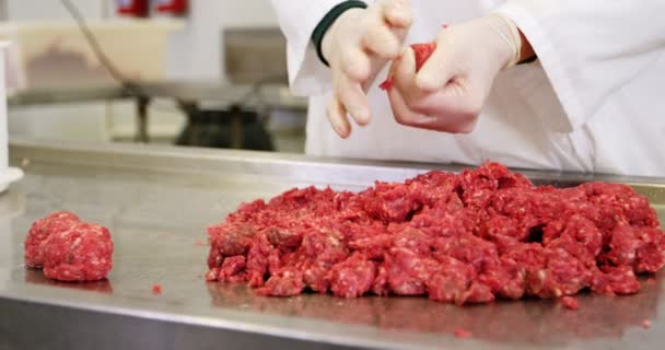 Sección media del carnicero que prepara la bola de carne de carne picada — Vídeos de Stock