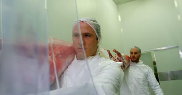 Equipo de carniceros que transportan carne — Vídeo de stock