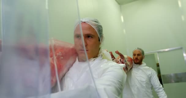 Team von Metzgern mit Fleisch — Stockvideo