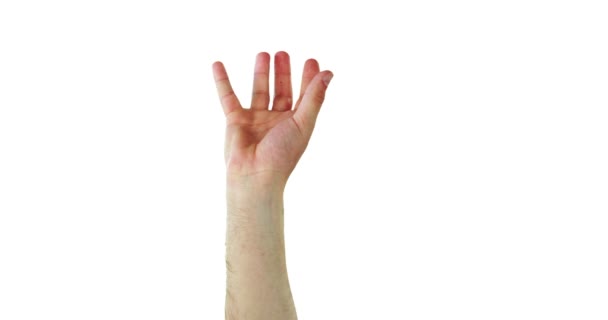 Крупный план жестов рук — стоковое видео