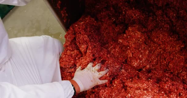 Butcher preparing minced meat — Stock Video