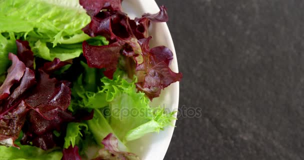 Close-up of lettuce in bowl — Stock Video