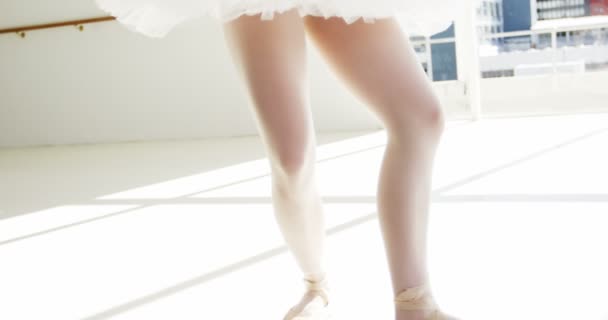 Балерина занимается балетным танцем — стоковое видео