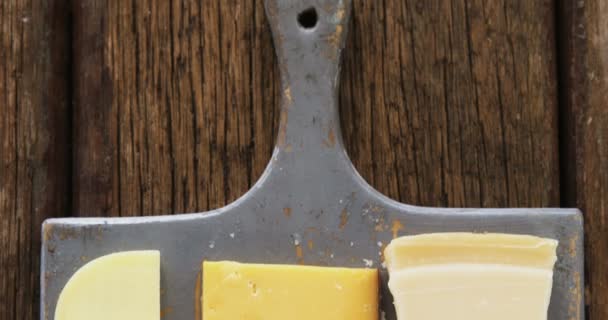 Diferentes tipos de queso — Vídeo de stock