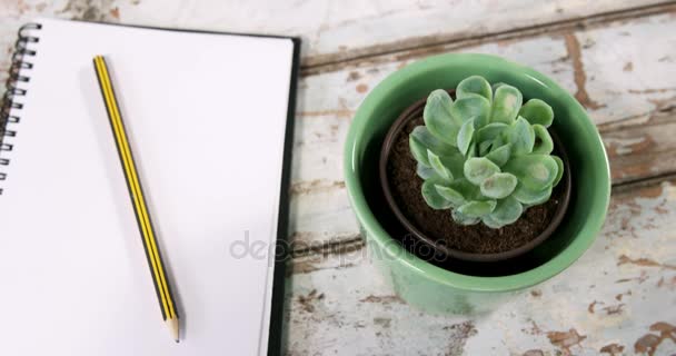 Aloe Vera Pflanze, Tagebuch mit Bleistift und Heftklammern — Stockvideo