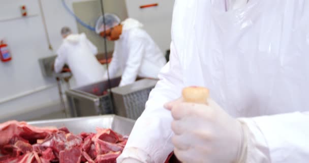 Slaktaren sätta kött i köttkvarn maskin — Stockvideo
