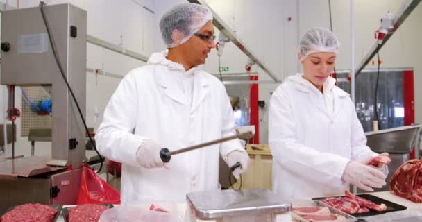 Equipo de carniceros trabajando — Vídeos de Stock