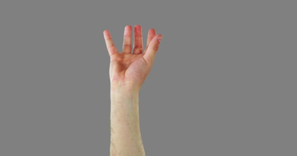 Nahaufnahme von gestikulierenden Händen — Stockvideo