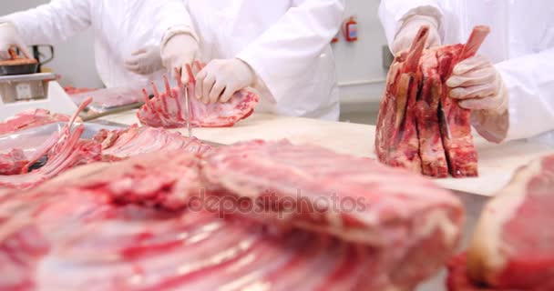 Team of butchers working — Stock Video