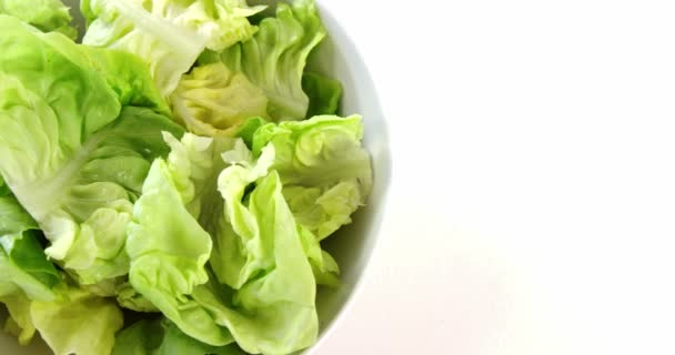 Cabbage leaves in bowl — Stock Video