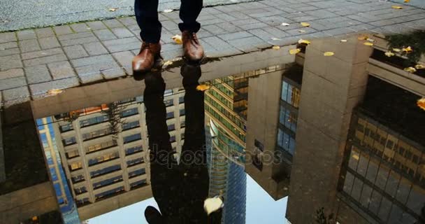 Weerspiegeling van een zakenman in de plas — Stockvideo