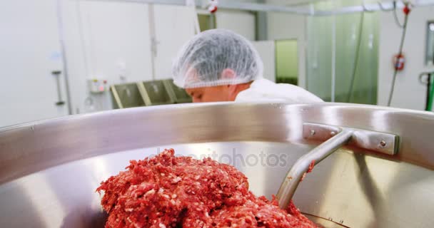 准备碎的肉的屠夫 — 图库视频影像