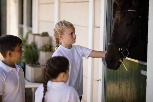 Crianças olhando para o cavalo marrom — Fotografia de Stock