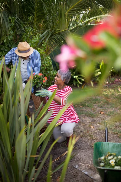 Frau hält Blumen während Plantage — Stockfoto