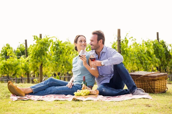 Casal desfrutando de vinho tinto no gramado — Fotografia de Stock