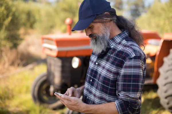 Homme utilisant le téléphone portable dans l'exploitation oléicole — Photo