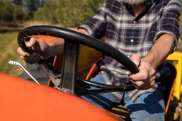 Man driving tractor in olive farm Royalty Free Stock Photos