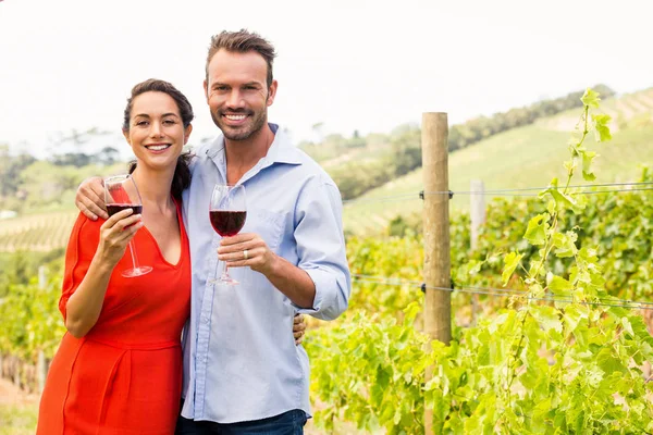 Pareja sosteniendo copas de vino —  Fotos de Stock