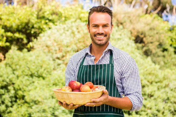 Hombre guapo sosteniendo cesta de manzana — Foto de Stock