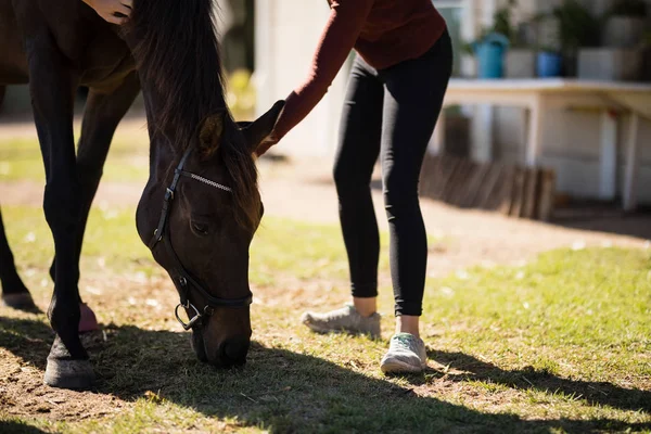 Mulher acariciando o cavalo — Fotografia de Stock