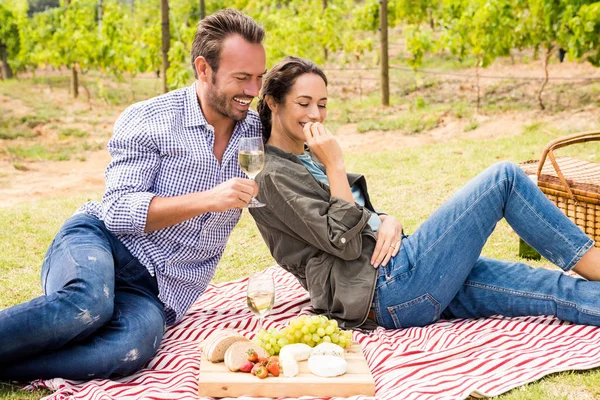 Homem com mulher tendo vinho no gramado — Fotografia de Stock